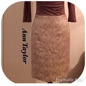 Ann Taylor skirt